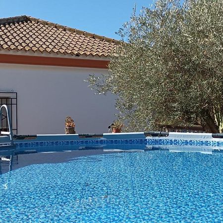 Villa Oasis Los Gallardos Екстер'єр фото